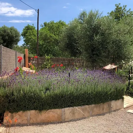 Son Segi Villa *